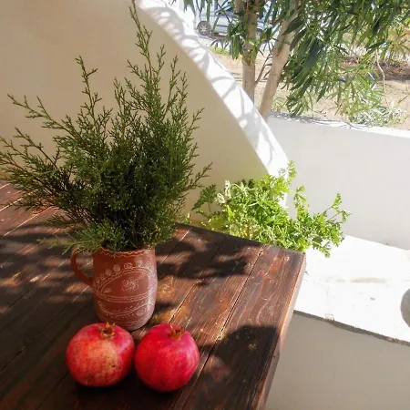 Nyfes Traditional Boutique Faltaina * Skyros